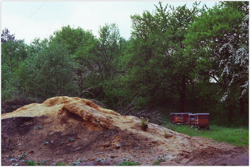 KleinSeelheim80er_Ziegelei_Verwaltung_04.jpg