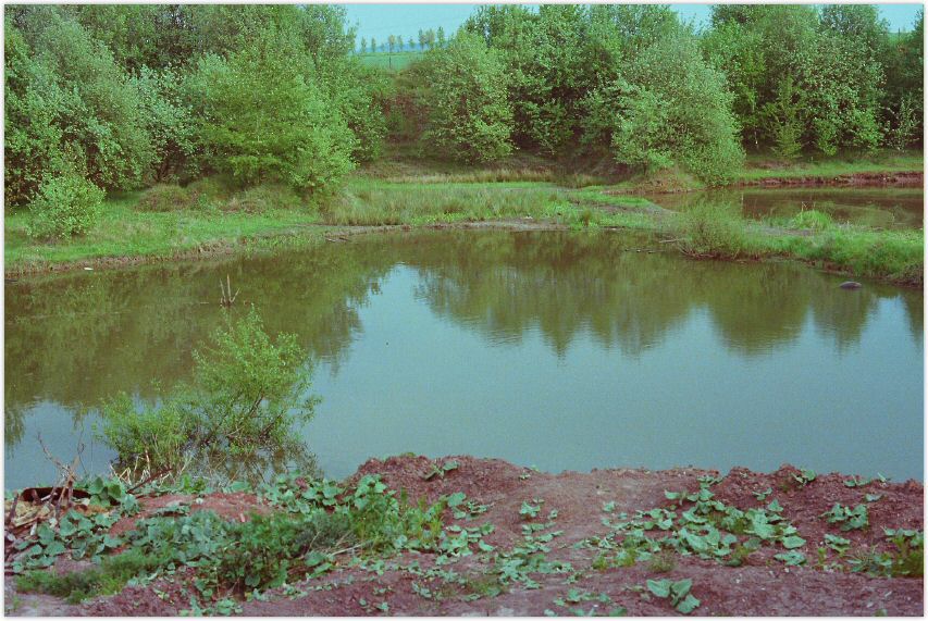 KleinSeelheim80er_Ziegelei_tongrube_01.jpg