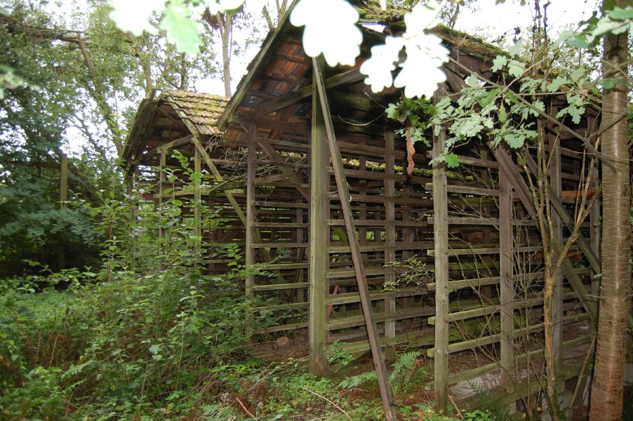 Klein_Selheim_ziegelei_30_08_2010_25.jpg